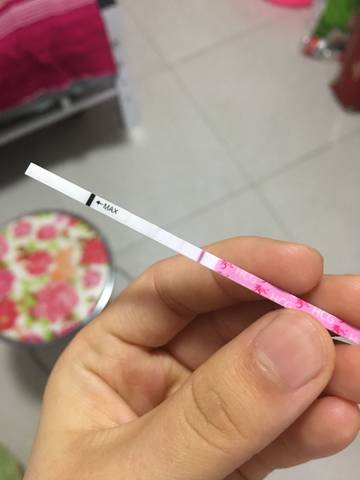 journal_insert_pic_996184588