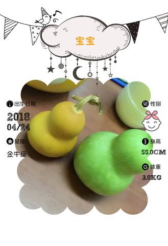 journal_insert_pic_997118193