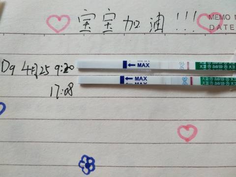 journal_insert_pic_997621002