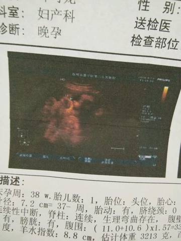 journal_insert_pic_997748069