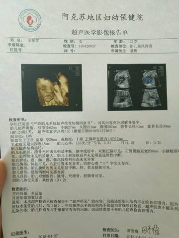 journal_insert_pic_999090372