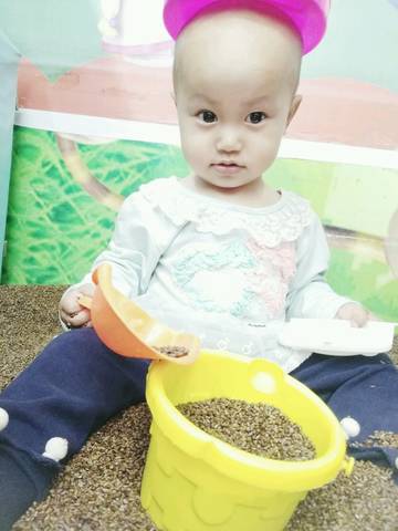 journal_insert_pic_998804571