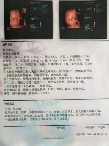 journal_insert_pic_1000434270