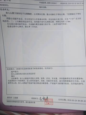 journal_insert_pic_1000285535