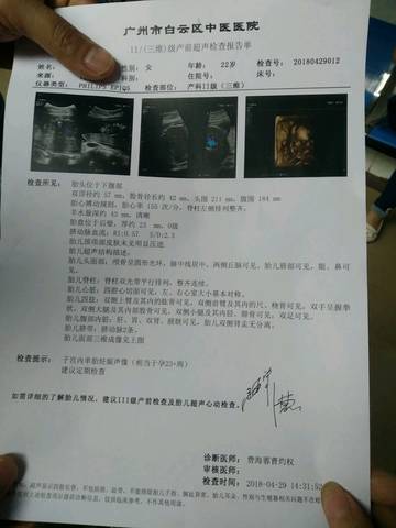 journal_insert_pic_1000224254