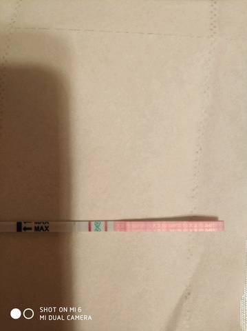 journal_insert_pic_1001185149