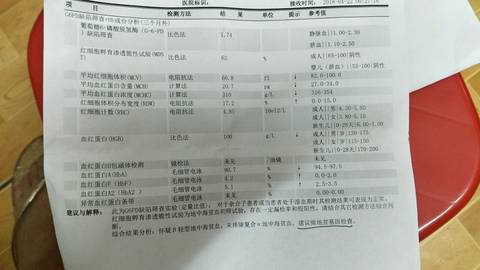 journal_insert_pic_1001238924