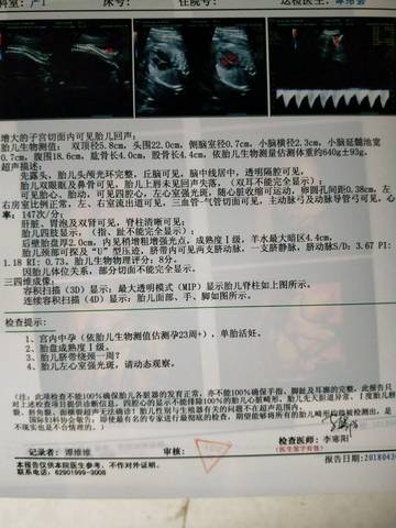 journal_insert_pic_1000898049