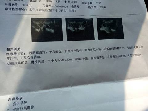 journal_insert_pic_1000781810