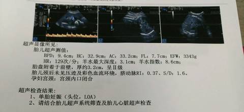 journal_insert_pic_1002476808