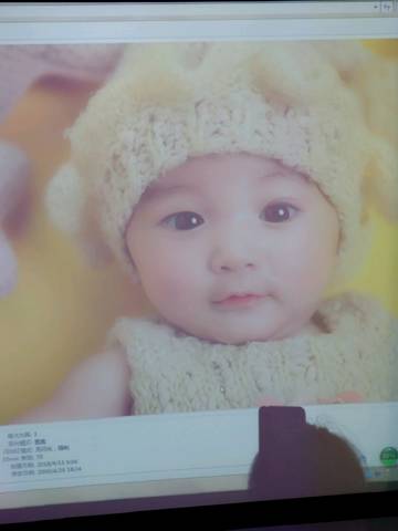 journal_insert_pic_1003397088