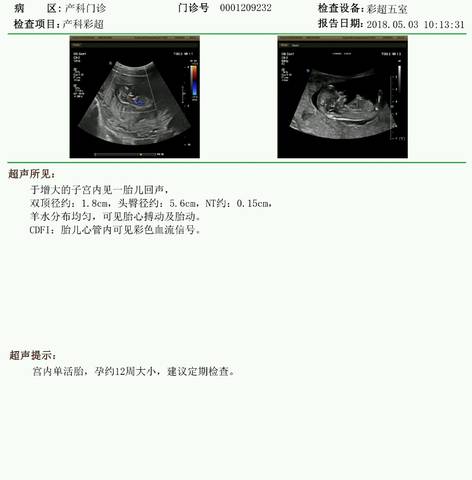 journal_insert_pic_1003654503