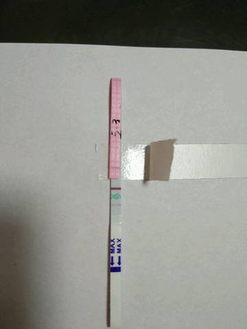 journal_insert_pic_1003602901