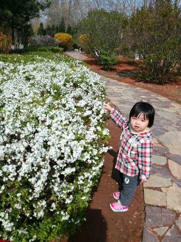 journal_insert_pic_1004164825