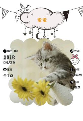journal_insert_pic_1004041071
