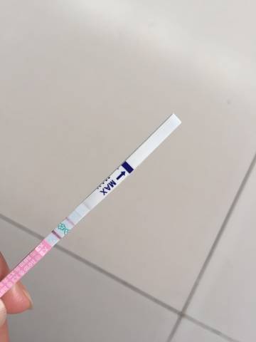 journal_insert_pic_1005753292