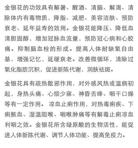 journal_insert_pic_1006796444