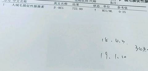 journal_insert_pic_1006604497