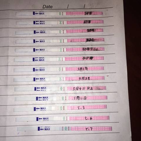 journal_insert_pic_1006777163