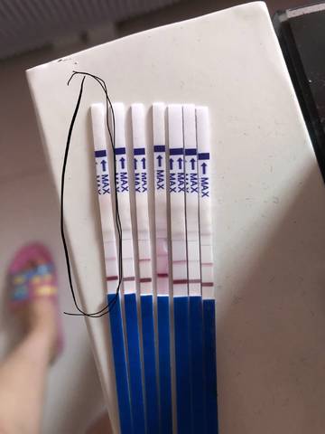 journal_insert_pic_1006373955