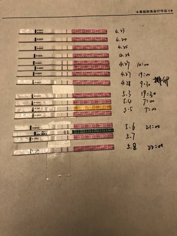 journal_insert_pic_1007531610