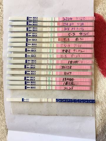journal_insert_pic_1007264995