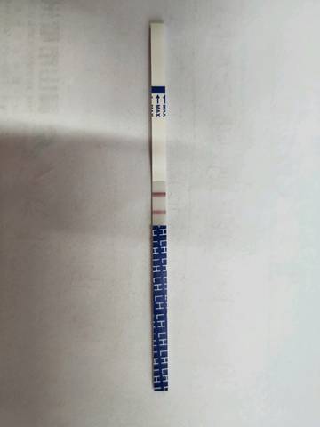 journal_insert_pic_1008109128