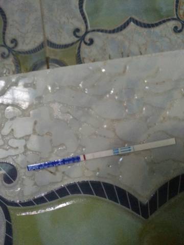 journal_insert_pic_1008423813
