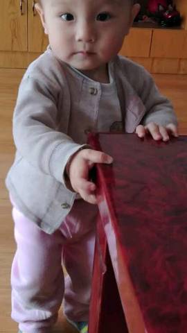 journal_insert_pic_1008995798