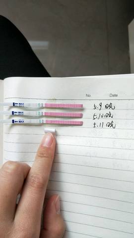 journal_insert_pic_1010002211