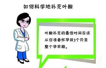【新手报到】叶酸别瞎补，它可不是万能的！