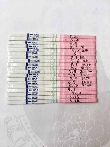 journal_insert_pic_1011342535