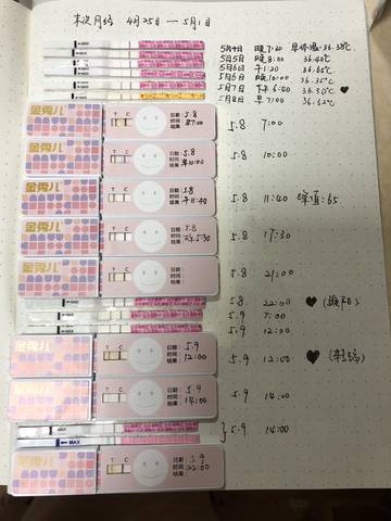 journal_insert_pic_1012270222