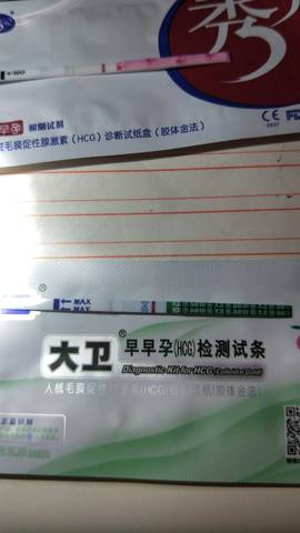 journal_insert_pic_1013046684