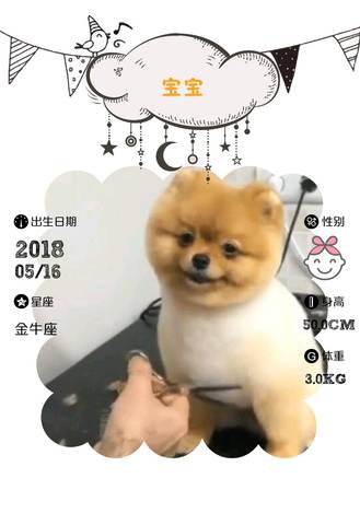 journal_insert_pic_1013173354