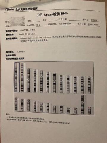 journal_insert_pic_1013694061