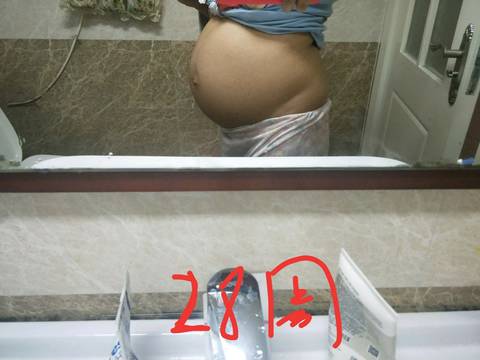 journal_insert_pic_1014581932