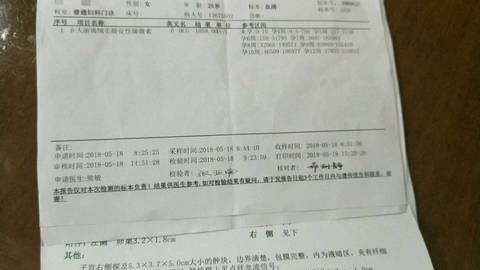 journal_insert_pic_1015440428