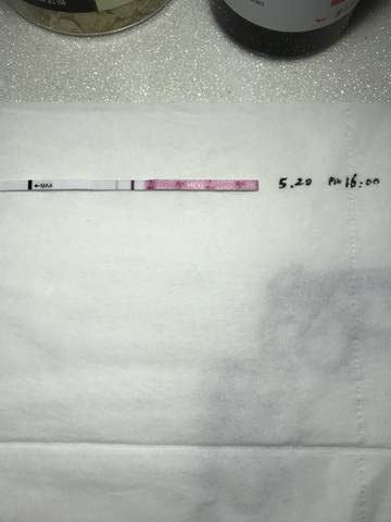 journal_insert_pic_1015665192