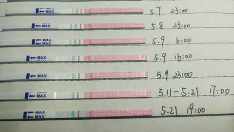 journal_insert_pic_1016548807