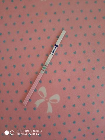 journal_insert_pic_1016105086