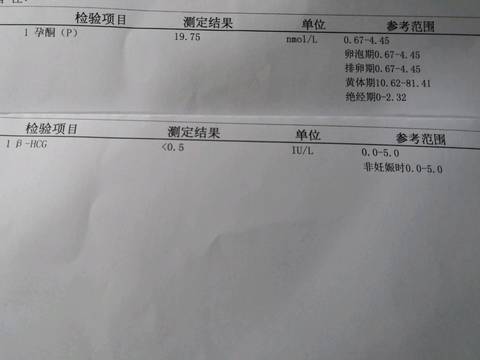 journal_insert_pic_1016399602