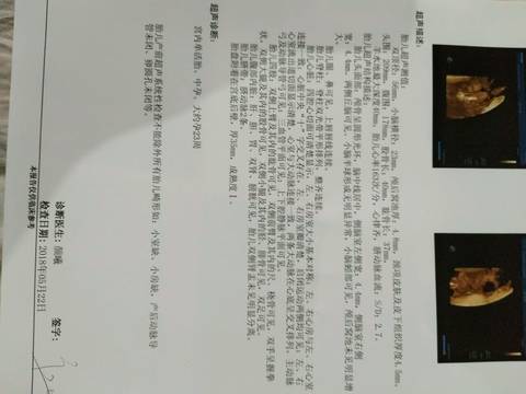 journal_insert_pic_1017215258