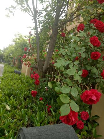 journal_insert_pic_1017032504
