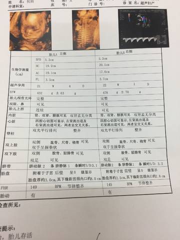 journal_insert_pic_1017112495