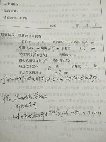 journal_insert_pic_1016937044