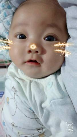 journal_insert_pic_1016857777