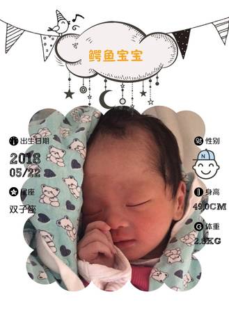 journal_insert_pic_1018145230