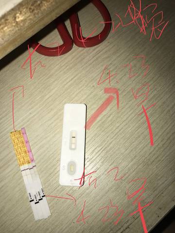journal_insert_pic_1019382396