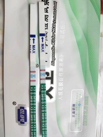 journal_insert_pic_1020914173